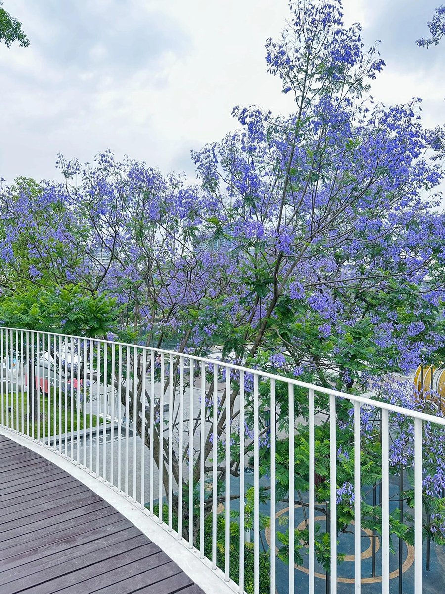 DCecHunts's tweet image. 高貴な人々は、私たちに方向性と暖かさをもたらしてくれる、輝く星や暖かい春風のようなものです。😊
もしかしたら、同じ考えを持つ友人かもしれません。あるいは偶然出会った見知らぬ人かもしれません。💖