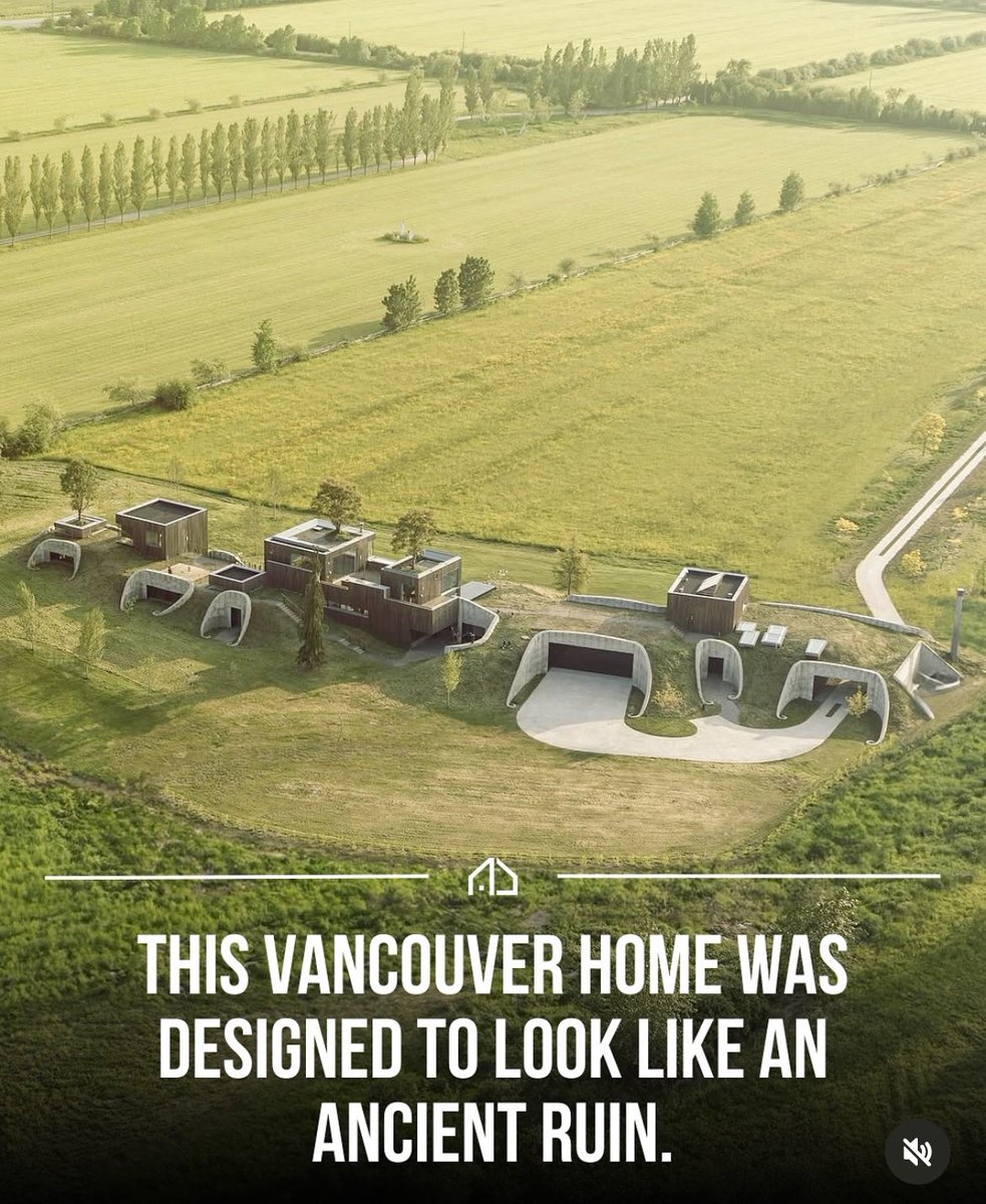 CatGodRob😺 tweet media