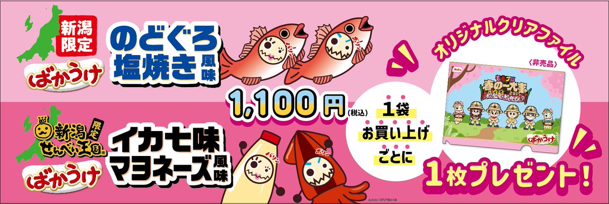 みなさんおはようございます☀️
新潟せんべい王国です！
本日からももクロ×ばかうけセット箱をせんべい王国お土産屋にて【40箱限定】で追加販売しております🩷❤️💛💜
オリジナルクリアファイルもプレゼント🎁いたします！
 #ももクロ春の一大事  #中止になっても春の一大事in新発田市