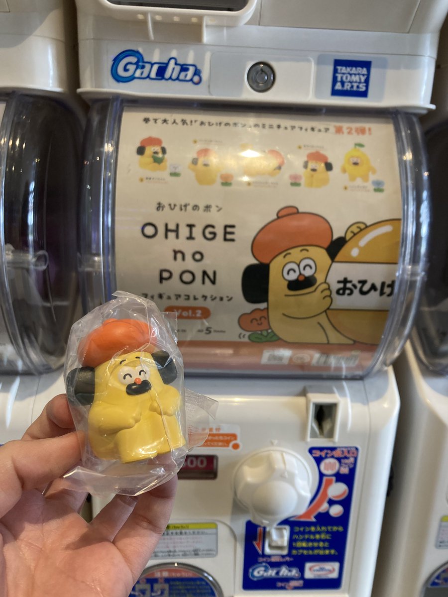 ぽん！！！！