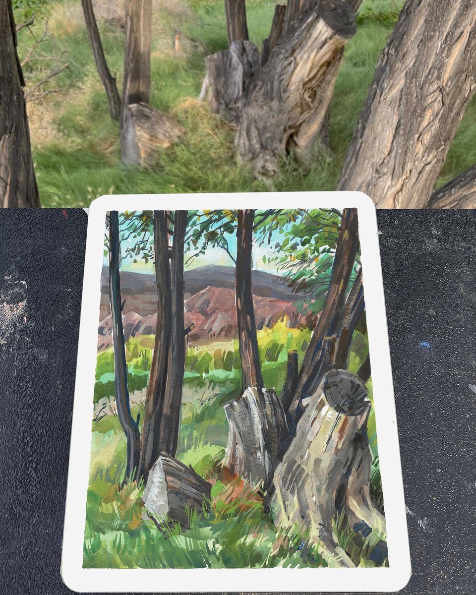 garygeraths's tweet image. More painting up in the Eastern Sierra Nevada. Wandering from desert foothills up the Toulumne Meadows all the while looking for cool stuff to paint with gouache. I’m starting to post more stuff so do me a big favor and hit that “follow” button. I’ll make it worth your while!