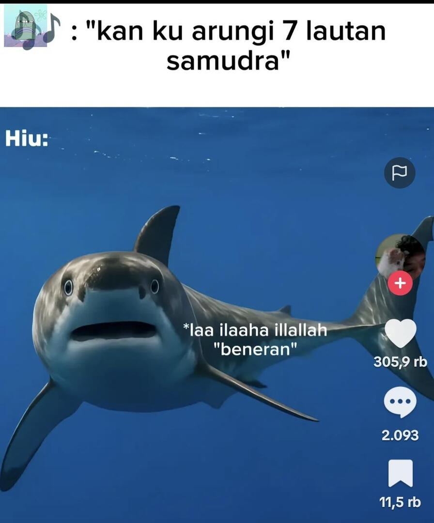 tanyakanrl's tweet image. thx God sudah menciptakan manusia² lucu di negara yang awikwok ini 💚
😭