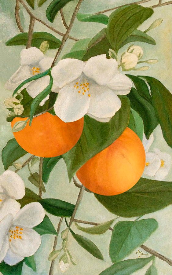 ampomata's tweet photo. This is my painting "Branch Of Orange Tree In Bloom". https://t.co/Nbd0DRtHYc