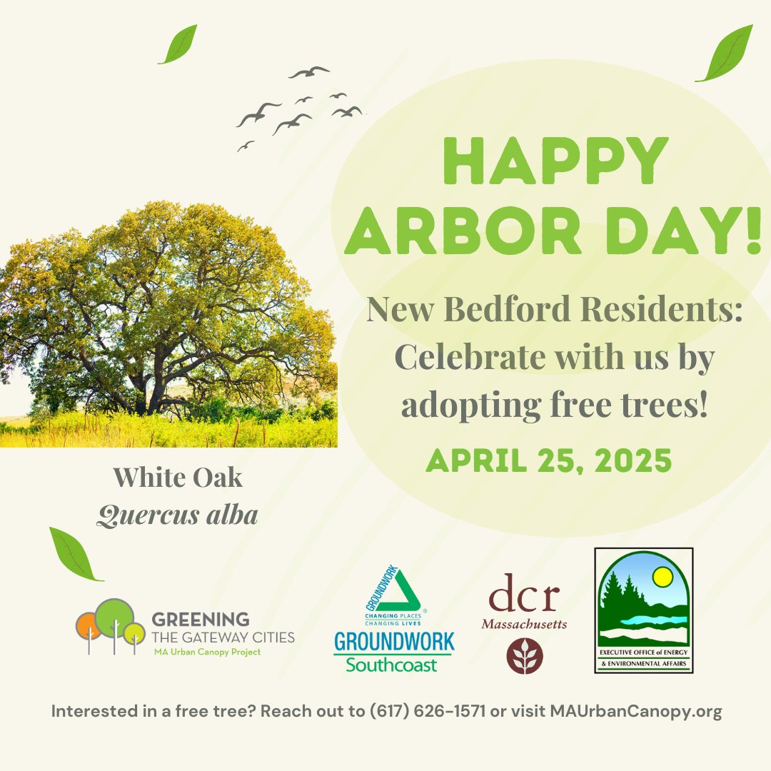 Happy #ArborDay! 🌳 

#NewBedford: see if you qualify for a FREE tree at your home or business thanks to the Greening the Gateway Cities program 🌱

👉 Check eligibility &amp; request yours: maurbancanopy.org

Let's grow a greener future together! 💚