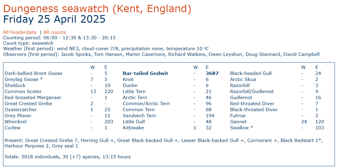 Most of the day coverage of the sea, with Bar-tailed Godwits picking up this afternoon and by the end of the day a great total of 3687 had flown east. Totals on <a href="/trektellen/">Trektellen.org</a>