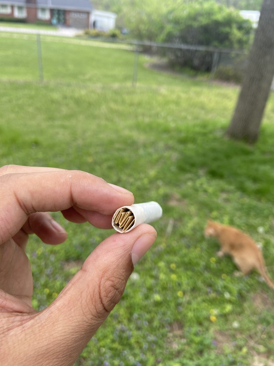 Rate my roll 🥹💛