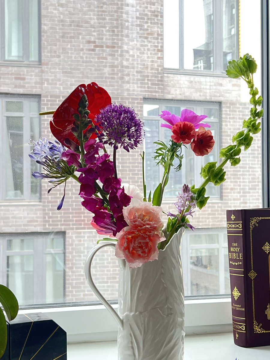 Helvia's tweet image. 