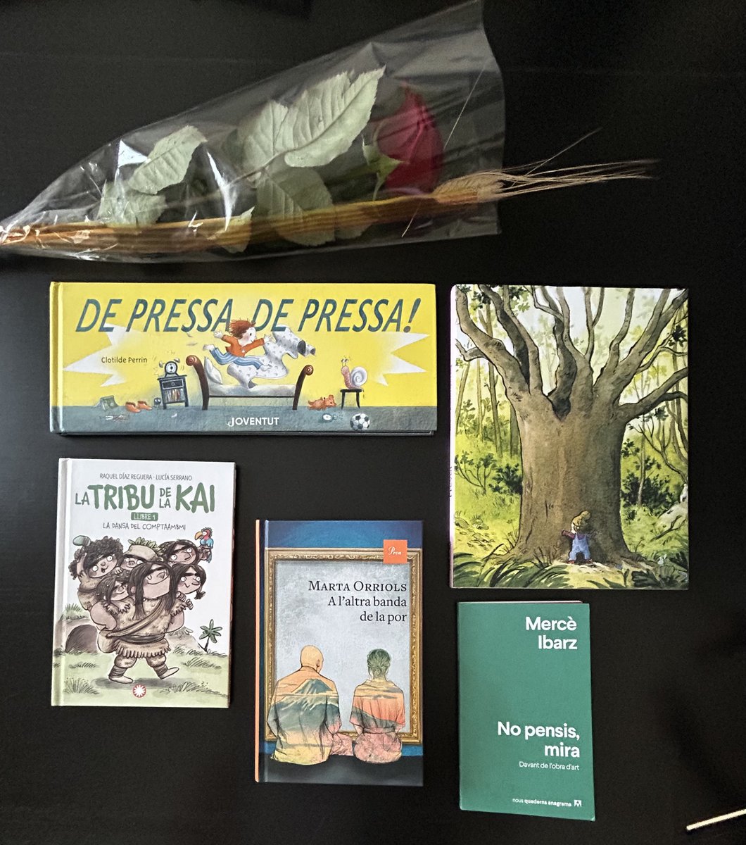 #SantJordi2025
📗TRÈVOL, ✍️Robert Nadine <a href="/ECorimbo/">Editorial Corimbo</a> 
📙DE PRESSA DE PRESSA!, 🖌️Clotilde Perrin <a href="/EdJuventud/">Editorial Juventud</a> 
📗LA TRIBU DE LA KAI, ✍️<a href="/raqueldedia/">Raquel Díaz Reguera</a> 🖌️Lucía Serrano <a href="/EdFlamboyant/">Editorial Flamboyant</a> 
📕A L'ALTRA BANDA DE LA POR, ✍️<a href="/MartaOrriols/">marta orriols</a> 
<a href="/Ed_proa/">Edicions Proa</a> 
📗NO PENSIS, MIRA, ✍️Mercè Ibarz <a href="/AnagramaEditor/">Editorial Anagrama</a>