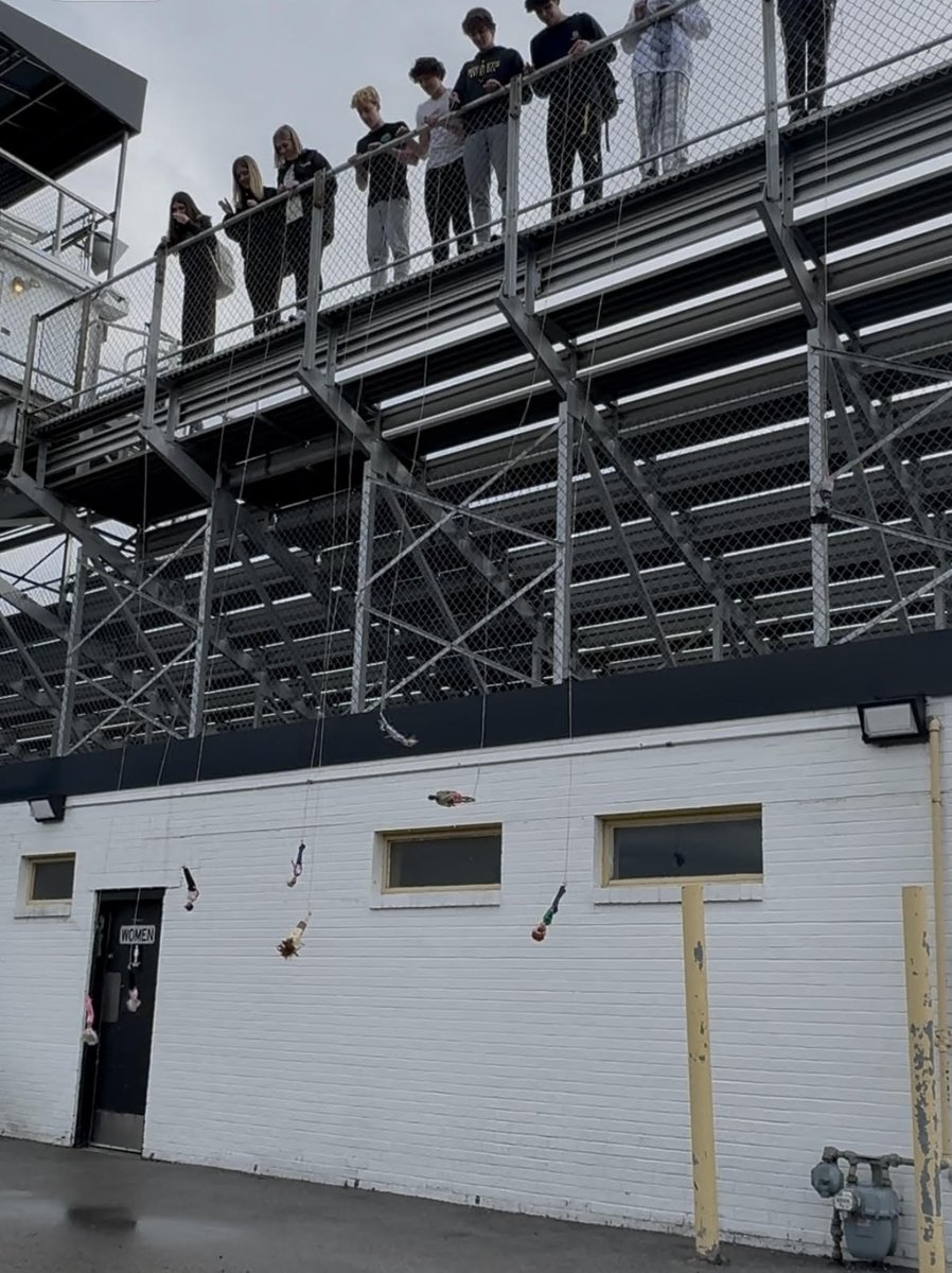 Mrs. Wilson's Algebra/Geo students studied linear regression this week and completed a Barbie Bungee project! Luckily the weather held up for them to test their predictions!