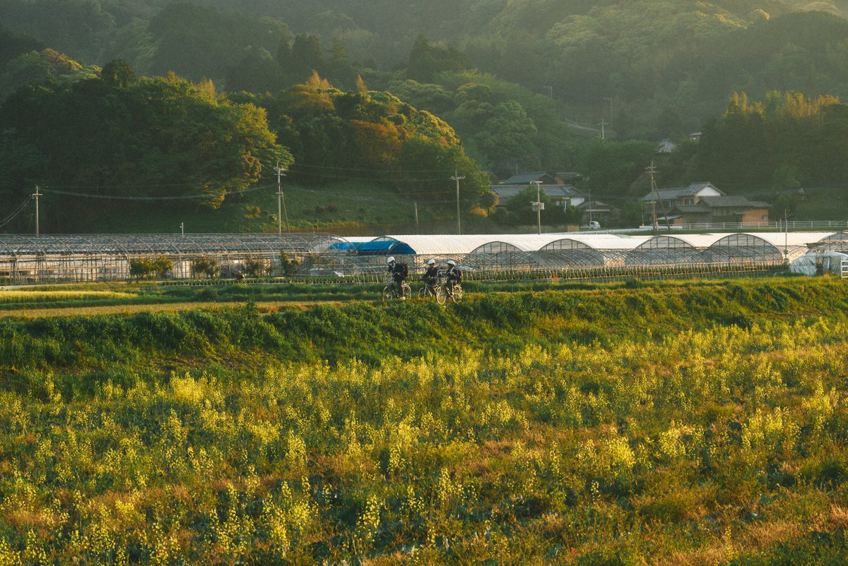 shintake_photo's tweet photo. Japanese Countryside https://t.co/oBIWMhDcFf