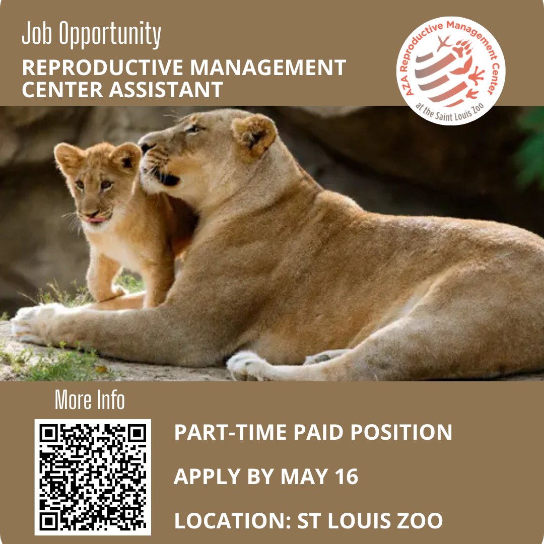 Living Earth Collaborative (@lecbiodiversity) on Twitter photo 🚨 Now Hiring: AZA Reproductive Management Center Assistant. Support wildlife conservation with the AZA Reproductive Management Center <a href="/stlzoo/">Saint Louis Zoo</a>
🧪 Up to 10 hrs/week | $13.25/hr
📅 Apply by May 16
Details🔗livingearthcollaborative.wustl.edu/items/aza-repr…
#ConservationJobs #STLZoo 🚨 Now Hiring: AZA Reproductive Management Center Assistant. Support wildlife conservation with the AZA Reproductive Management Center <a href="/stlzoo/">Saint Louis Zoo</a>
🧪 Up to 10 hrs/week | $13.25/hr
📅 Apply by May 16
Details🔗livingearthcollaborative.wustl.edu/items/aza-repr…
#ConservationJobs #STLZoo