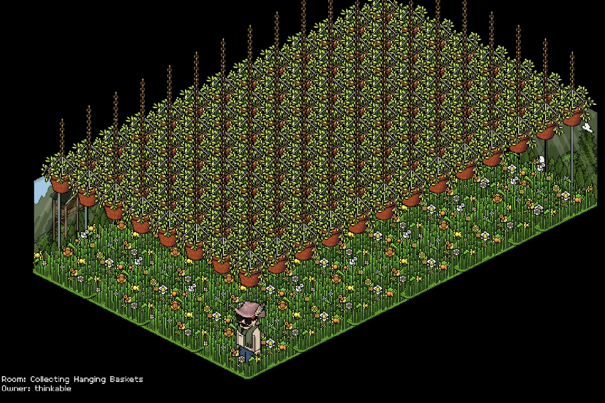 My collection of hanging baskets is finally complete. Thank you to everyone who has helped <3