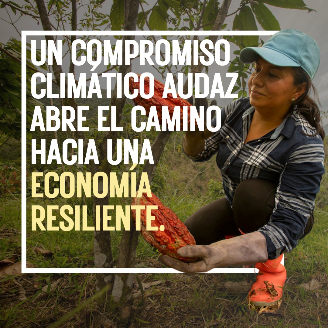 PnudColombia's tweet image. En 🇨🇴 con la iniciativa Promesa Climática continuamos apoyando al Gobierno Nacional y al @Minambiente en la Actualización de su NDC 3.0.

Esta actualización es una herramienta para transformar la economía y fortalecer la resiliencia territorial frente al cambio climático.🧵