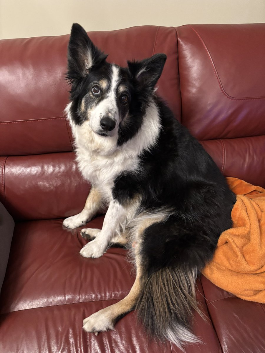 On holiday? Tomorrow morning? Driving all day? Cool!!!