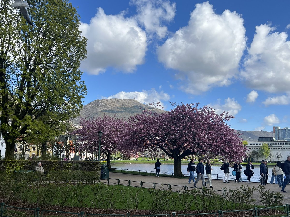 Looked quite nice today.