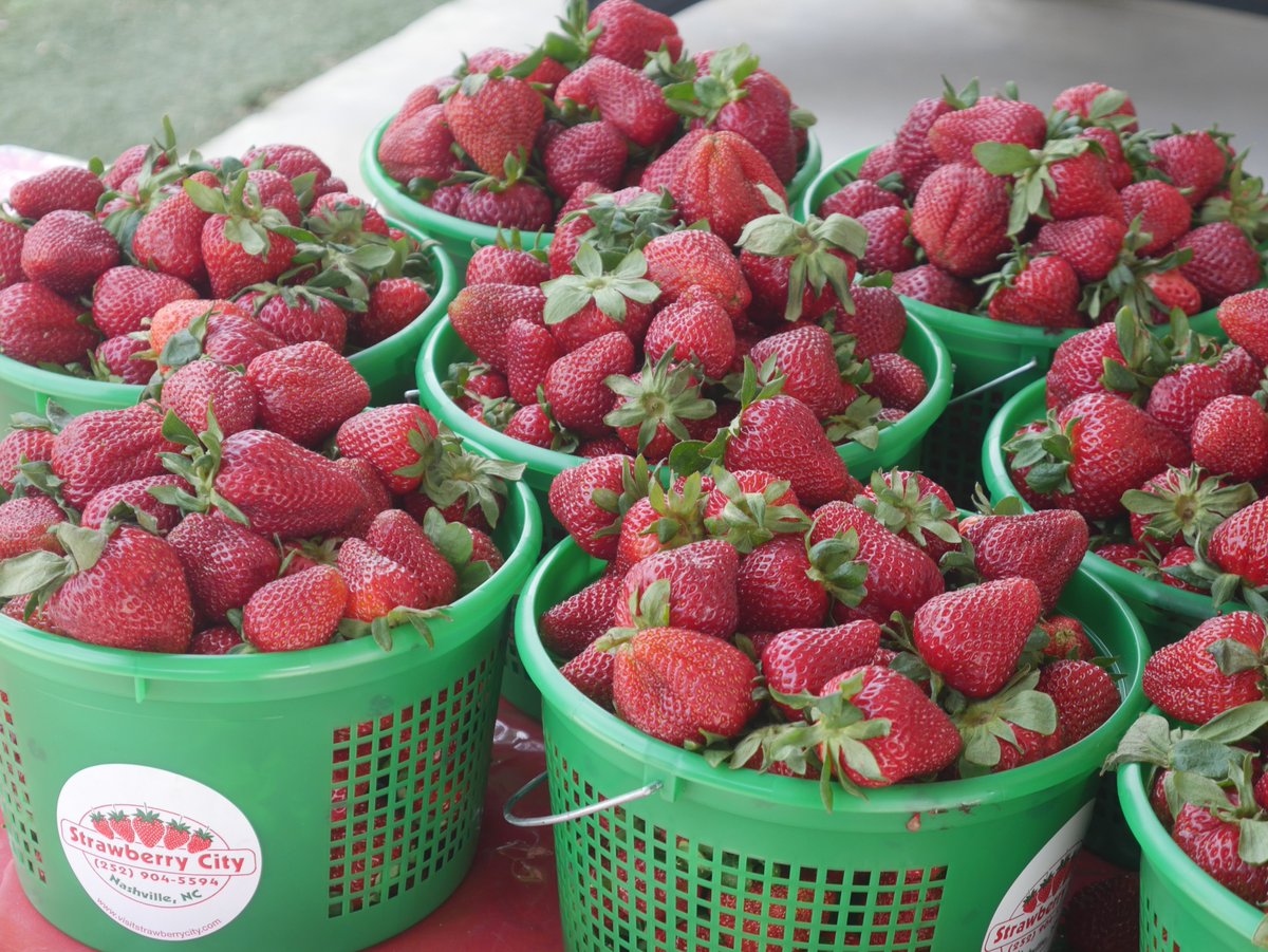 🍓 Strawberry Day at the Farmer’s Market! 🍓

Join us today at 725 S. Barnes St. in Nashville for a sweet celebration — it’s Strawberry Day! 🎉

🍰 FREE strawberry shortcake for everyone (while it lasts!)
🎶 Live music by Jerry Harrison &amp; Faith
🧇 Rezzy's Perfect Pancakes food