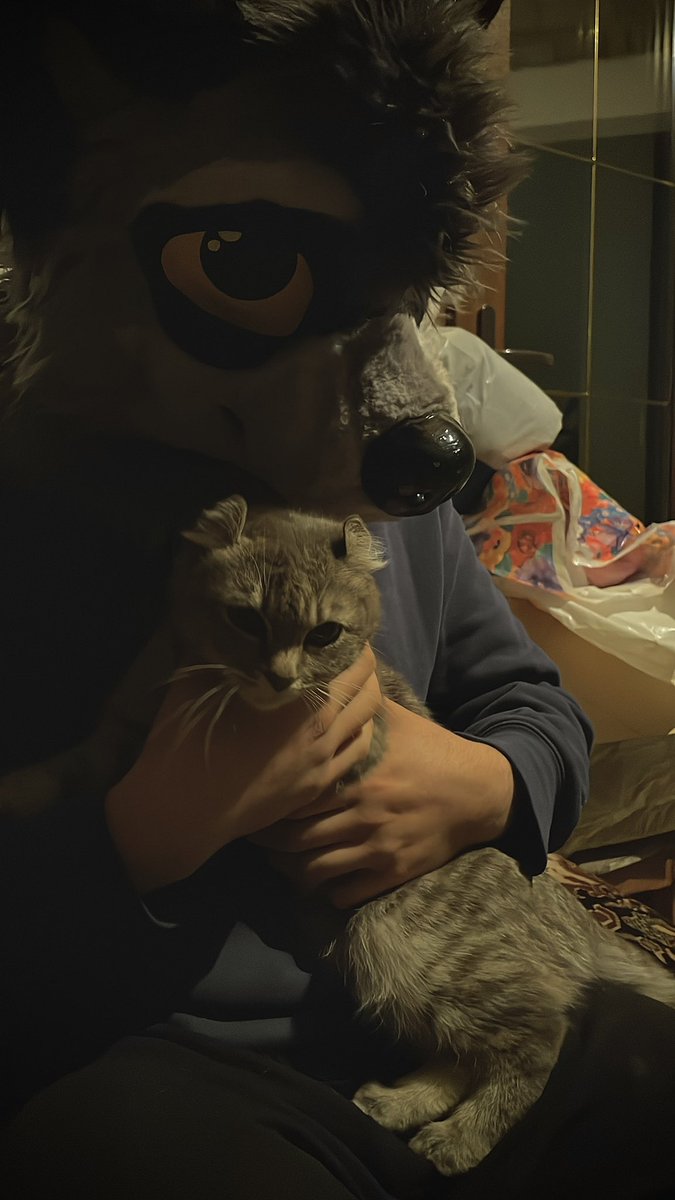 roykh_exe's tweet image. We were sitting on his parents’ porch, talking about everything and nothing. Out of nowhere, a cat came running up. I’ve always had a soft spot for those little fluffy souls. It felt so warm and sweet—like a quiet little moment of magic, seeing two soft creatures side by side.