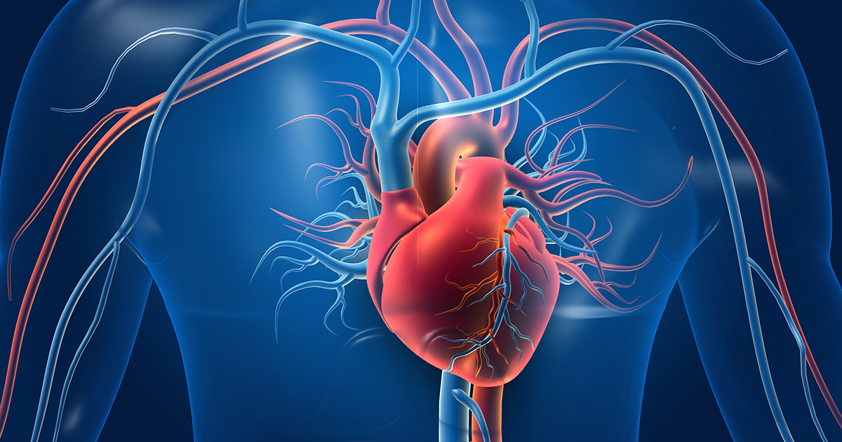 A team with Professor Nathan Gianneschi developed a novel injectable therapy that could significantly reduce the risk of heart failure after a heart attack. This approach utilizes protein-like polymers PLPs to enhance the body's natural healing.

spr.ly/60182iy2q