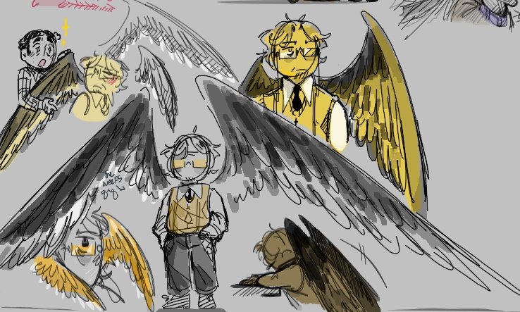 ____Teacat____'s tweet image. Wingsss #tspnarrator