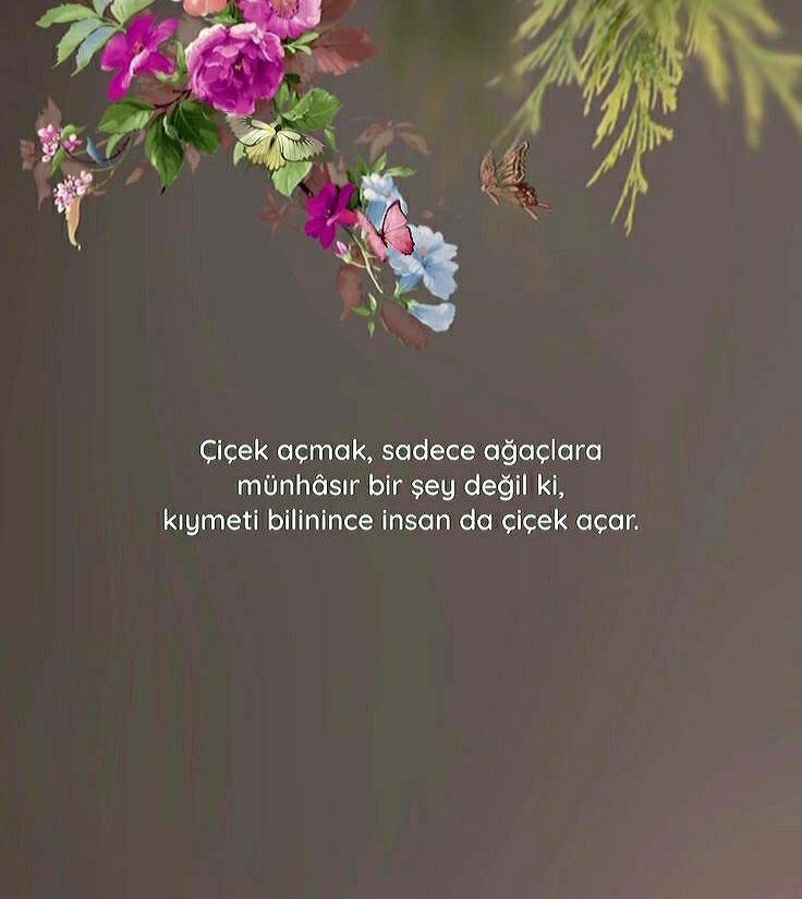 #GeceyeNotum #KızılcıkŞerbeti #cumartesi