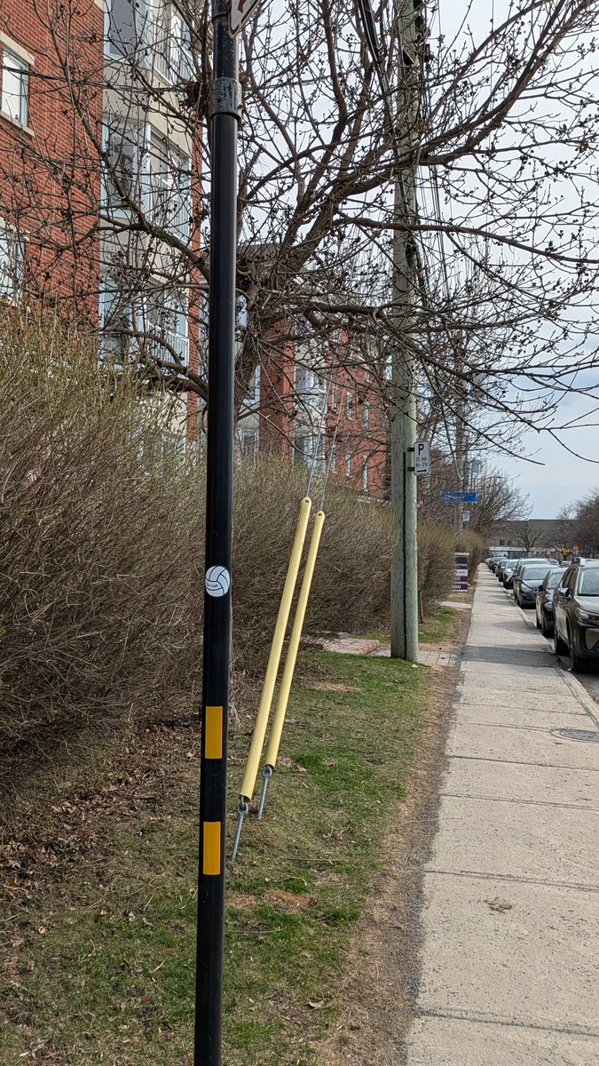 Viau Park tweet media