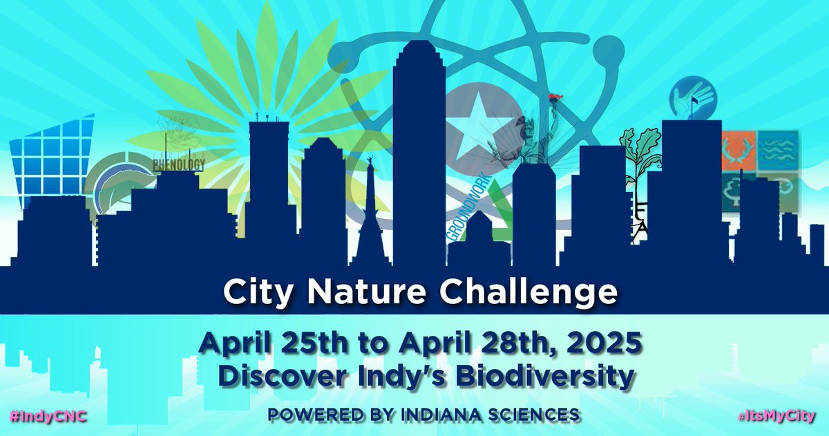 Science March Indy (@sciencemarchind) on Twitter photo Love #CitizenScience and want to help monitor Indy's biodiversity? Take the Indianapolis City Nature Challenge!
IndianaSciences.org/cnc-2025
<a href="/IndianaSciences/">Indiana Sciences</a>
<a href="/IndyParksandRec/">Indy Parks🌲</a>
<a href="/INdnrnews/">Indiana DNR</a>
<a href="/ourwaterways/">Reconnecting to Our Waterways</a>
<a href="/SustainIndy/">Indy Office of Sustainability</a>
<a href="/INforests/">Indiana Forest Alliance</a>
<a href="/kibiorg/">KeepIndianapolisBeautiful</a>
<a href="/indianawildlife/">Indiana Wildlife Fed</a>
<a href="/IndianaMuseum/">Indiana State Museum and Historic Sites</a>
<a href="/GroundworkIndy/">Groundwork Indy</a> Love #CitizenScience and want to help monitor Indy's biodiversity? Take the Indianapolis City Nature Challenge!
IndianaSciences.org/cnc-2025
<a href="/IndianaSciences/">Indiana Sciences</a>
<a href="/IndyParksandRec/">Indy Parks🌲</a>
<a href="/INdnrnews/">Indiana DNR</a>
<a href="/ourwaterways/">Reconnecting to Our Waterways</a>
<a href="/SustainIndy/">Indy Office of Sustainability</a>
<a href="/INforests/">Indiana Forest Alliance</a>
<a href="/kibiorg/">KeepIndianapolisBeautiful</a>
<a href="/indianawildlife/">Indiana Wildlife Fed</a>
<a href="/IndianaMuseum/">Indiana State Museum and Historic Sites</a>
<a href="/GroundworkIndy/">Groundwork Indy</a>