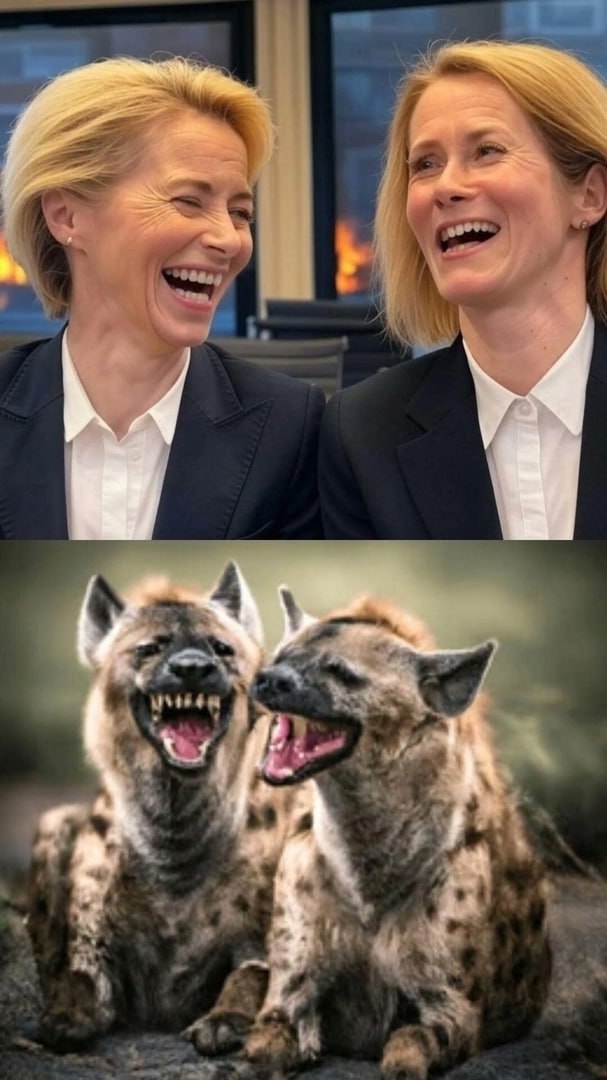 ivan_8848's tweet image. Europe is in the hands of psychopaths 😡

God, save Europe!