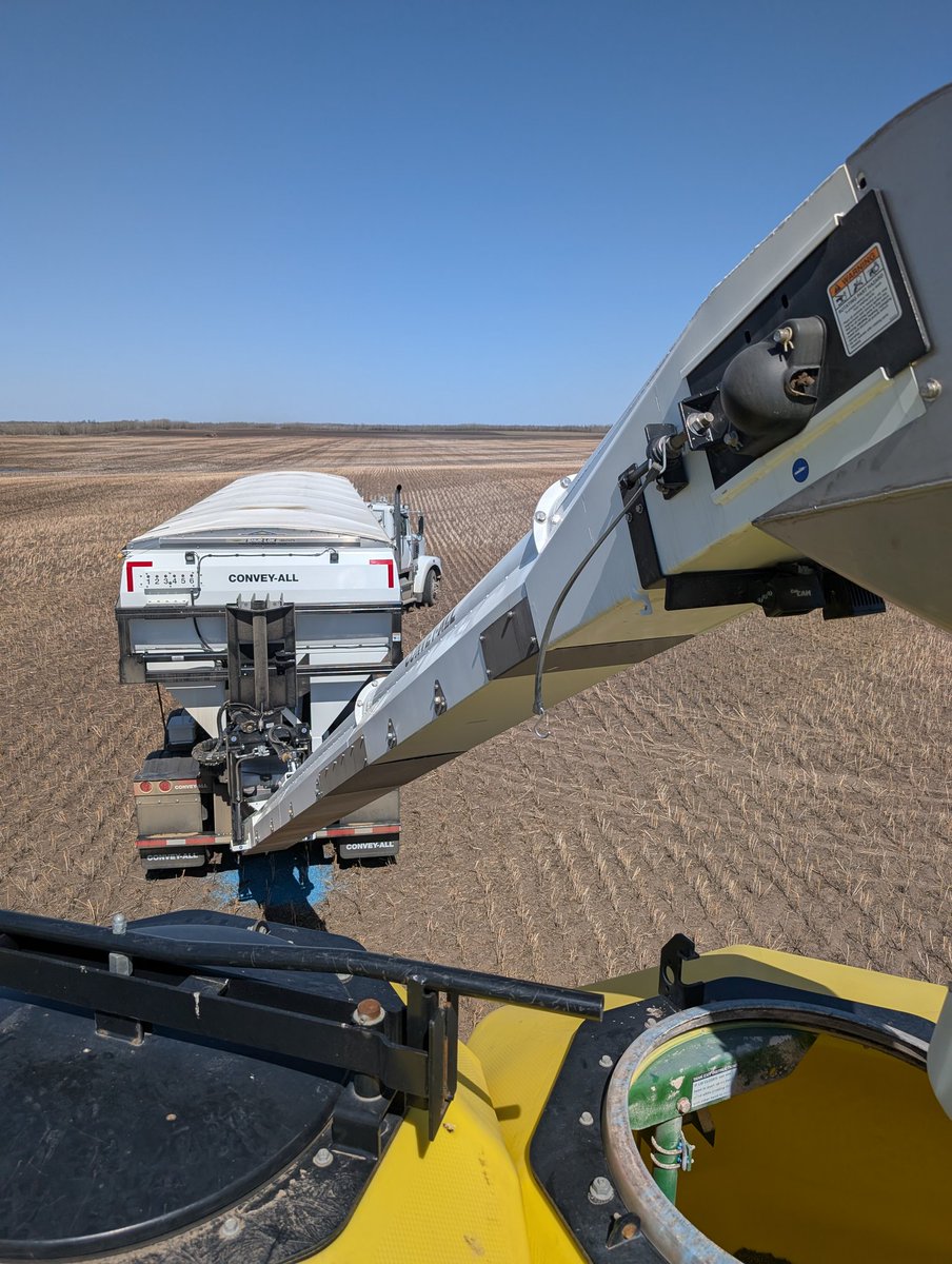 Tyler Hassett tweet media