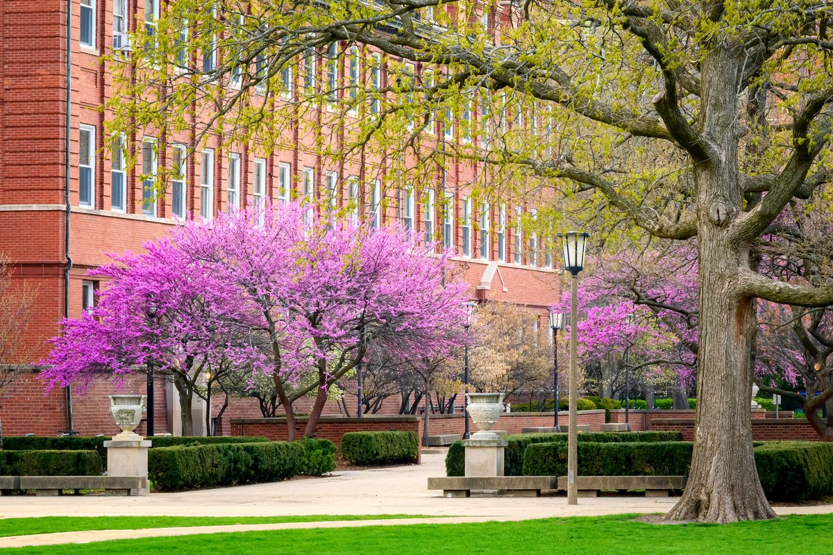 UofIllinois's tweet photo. Weekend to do list: go touch grass https://t.co/X413IFpD24