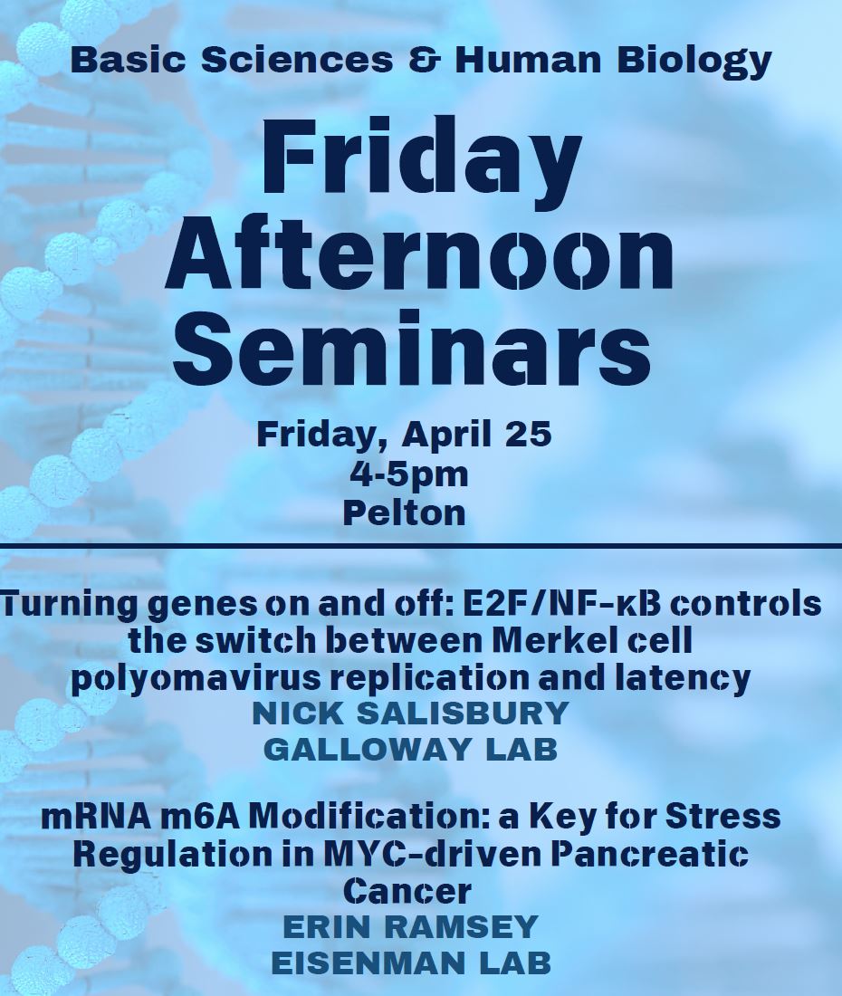 Hutch Basic Sciences (@hutchbasicsci) on Twitter photo Excited for two great speakers at Friday Afternoon Seminars!
For everyone @FredHutch, join us at 4:00 in Pelton to hear Erin Ramsey
from the Eisenman Lab and <a href="/NJHSalisbury/">Nick Salisbury, PhD</a> from Human Biology’s Galloway Lab share their latest research! Excited for two great speakers at Friday Afternoon Seminars!
For everyone @FredHutch, join us at 4:00 in Pelton to hear Erin Ramsey
from the Eisenman Lab and <a href="/NJHSalisbury/">Nick Salisbury, PhD</a> from Human Biology’s Galloway Lab share their latest research!