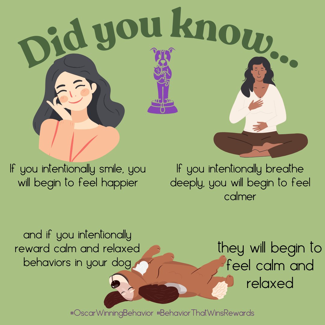 OscarWinning's tweet image. The brain is a funny thing - it can be tricked into feeling better! It works for human brains *and* dog brains!
 
oscarwinningbehavior.com/relaxation-pro…

#OscarWinningBehavior #BehaviorThatWinsRewards #Meditation #psychology #mentalhealth #healthyliving #healthandwellness #anxiety