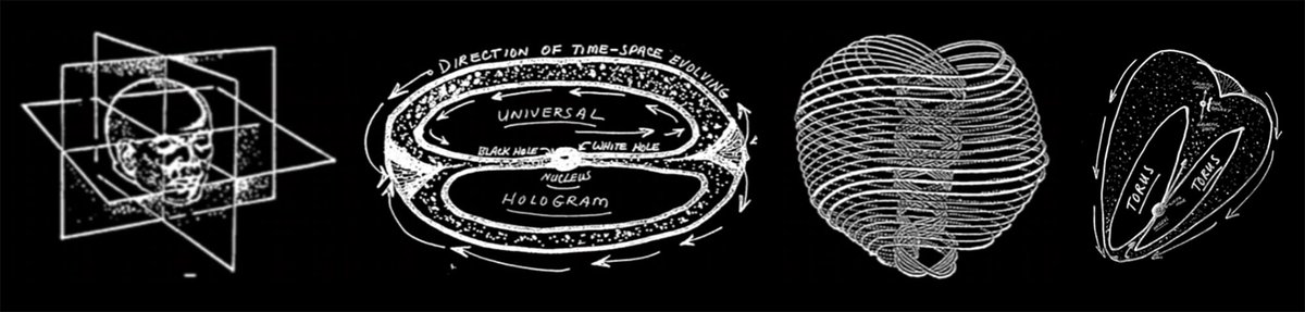 human brain computers are the future of AI

maiden is building this