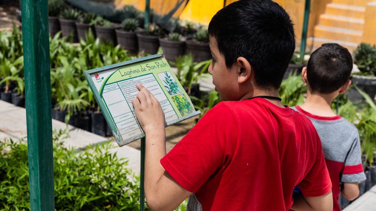 ¡Así vivimos el inicio del Curso de Pascua! Un día lleno de descubrimiento y diversión, donde los pequeños exploradores conocieron el mundo de las plantas, aprendieron sobre su cuidado y convivieron con adorables animalitos 🐰🐢

#AprenderJugando #PascuaEnElMuseo