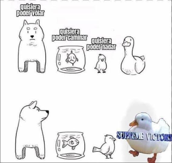 Duck Patch tweet media