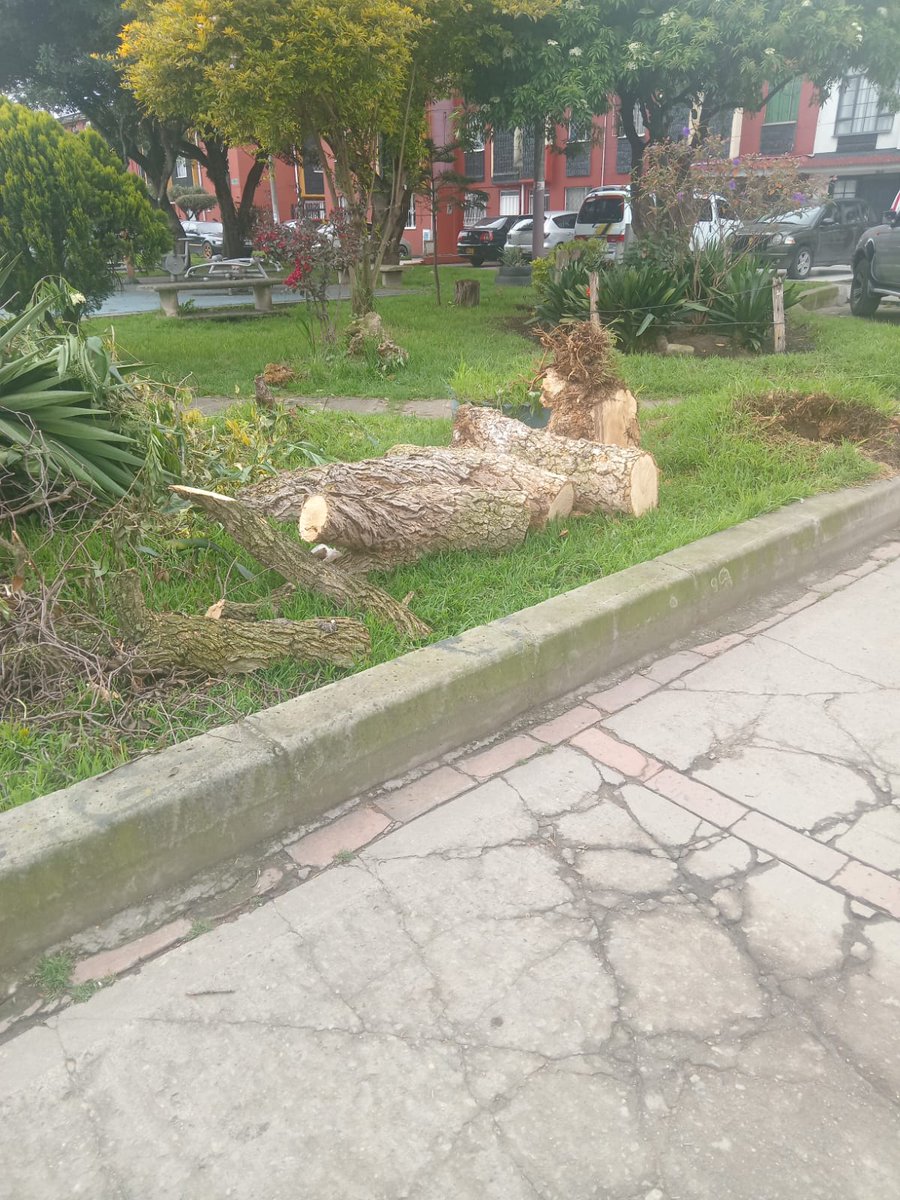 Señores <a href="/Uaesp/">Uaesp</a> este árbol se cayó el 20 de Abril y hasta el momento no lo han recogido me pueden ayudar por favor??? La dirección es carrera 111 con calle 74b.
Gracias