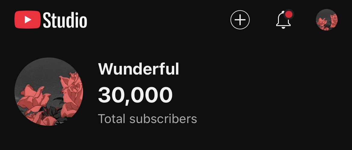 xWunderfuLx's tweet photo. Thank you to everyone for 30,000 subscribers! This is an amazing achievement for me and it means the world that you guys continue to enjoy my content! https://t.co/2NxkNw0KeM