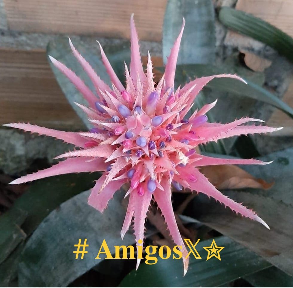#𝓐𝓶𝓲𝓰𝓸𝓼𝔁✰
<a href="/MARYMOON_USA/">Dr MARY⚕️🇺🇸</a>
<a href="/AliceUnidoSTeam/">Alice🇨🇵TeamUnidoS</a>
<a href="/CarlosOchoa_G/">CARLOS</a>
<a href="/Hapalochlaena2/">Hapalochlaena</a>
<a href="/MARTHA_CAN2/">MARTHA 👑</a>
<a href="/Jemaco40/">@Jemaco40</a>
<a href="/goldisez/">Goldi 🌺</a>
<a href="/x4Eileen/">Eileen Bridget🌸</a>
<a href="/ZNiitaka/">ぜろむすNEO🍥⚛️🦄ｷｭﾛｽ♊️世👽</a>
<a href="/teamdinamicas/">Cami</a>
<a href="/ElderAcost/">ELDER AC✪STA 📚23ʸʳˢ⚽️</a>
<a href="/Dark_Camus/">🅾.🅳.🅲.🅶.</a>
<a href="/aylin_cee/">@ylin</a>
<a href="/R1_Adv/">Ridwan R1🇮🇩</a>
<a href="/LauraM24960/">LAURA 👑</a>
<a href="/R2__Adv/">Ridwan R2🇮🇩</a>
<a href="/papiko7890/">ぱぴこ❤</a>
<a href="/degaviriaca/">ELENA (Pediatra🍼)</a>
<a href="/Moller510/">sandra Moller 💯🐾🐾</a>
<a href="/Ambientadores_/">Aromatizantes 🍏🍓🍒🍧🍍♨️</a> 
<a href="/Roy1980_lions/">☮️🇱🇧Roy Baugi☮️🇱🇧</a>