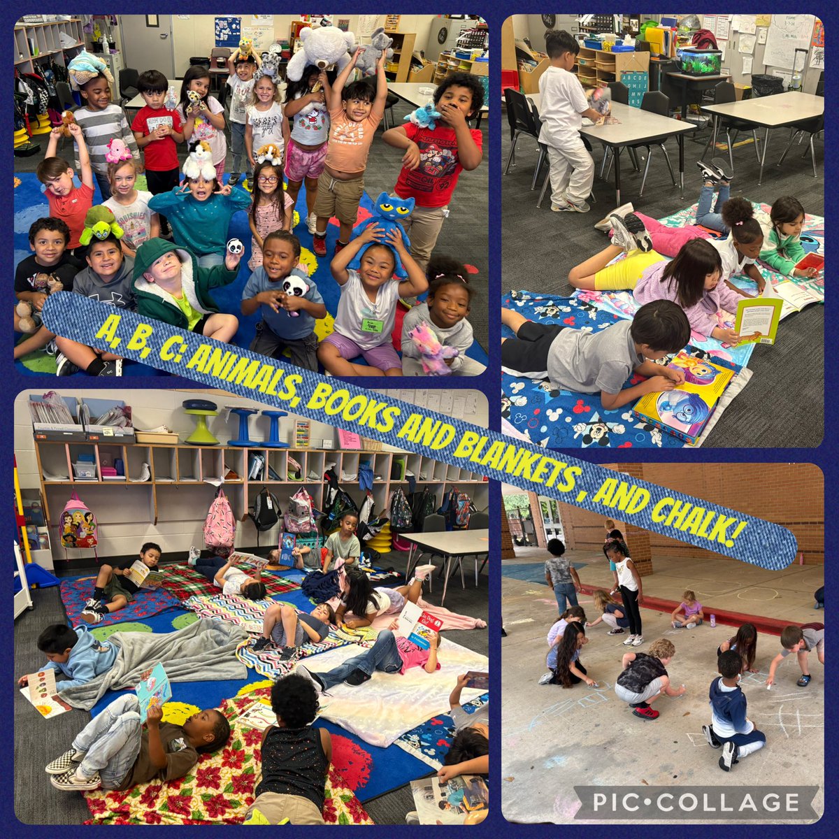 Keely Mills, MA tweet media