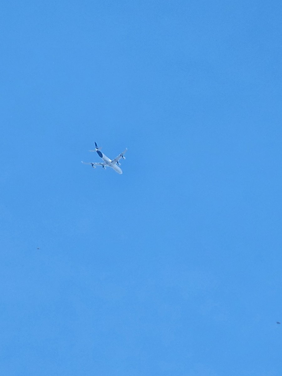norb420's tweet photo. #3C64ED as #DLH491 Climbing out of Seattle Tacoma International Airport KSEA enroute to Frankfurt Airport EDDF. https://t.co/DJtpqRIa7h