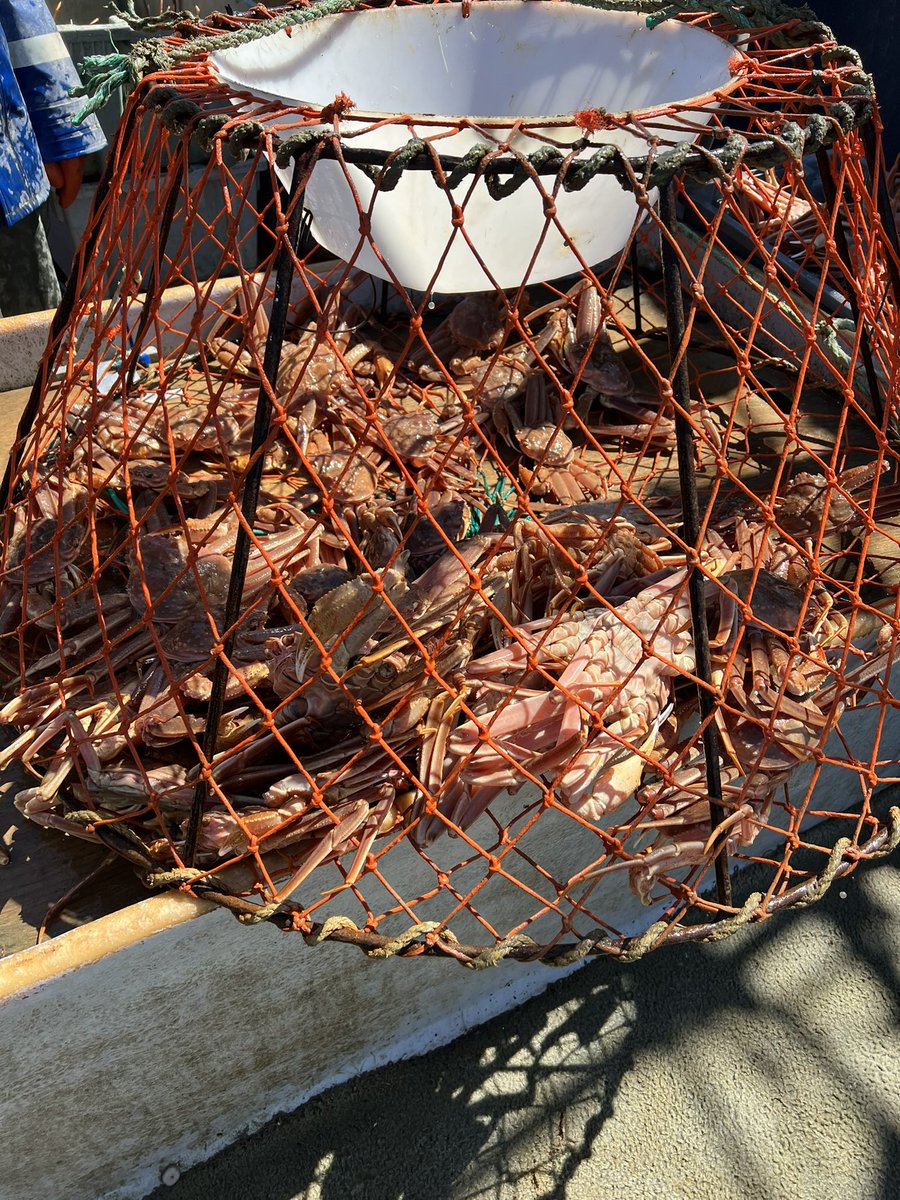 Another successful crab trip.