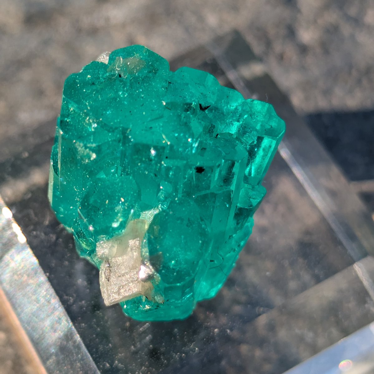 ULTIMOGIOS's tweet image. Liberさん(@LiberMinerals)より購入したコロンビア産エメラルド。

チボール鉱山さん、色サイズ透明度文句無し！
エメラルドの撮影は朝日に限る！