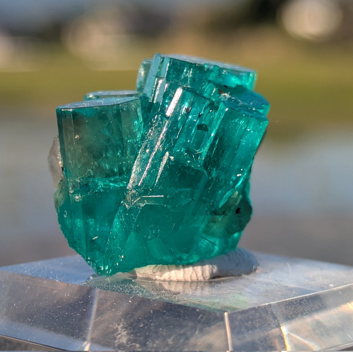 ULTIMOGIOS's tweet image. Liberさん(@LiberMinerals)より購入したコロンビア産エメラルド。

チボール鉱山さん、色サイズ透明度文句無し！
エメラルドの撮影は朝日に限る！