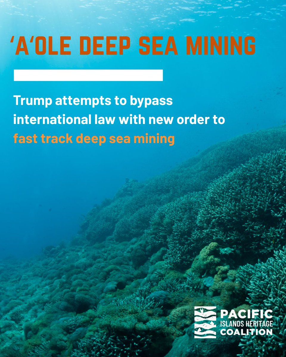 Pacific Islands Heritage Coalition tweet media