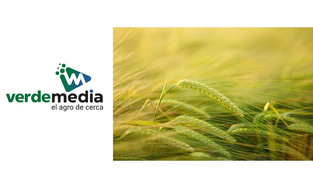 En entrevista con el programa «Punto de Equilibrio», el Ing. Agr. Bruno Maneiro, Gerente Agronómico de Maltería Oriental SA, brindó información a nivel general y detallada sobre la cebada y como se está monitoreando la próxima siembra:
👇 👇 👇 
buff.ly/RKb3fdO