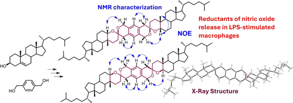 Check on our latest contribution to Steroid Chemistry Open Access "Synthesis, NMR and X-ray characterization of dibenzoannulated dimeric steroid spiroketals. Evaluation of cytotoxicity and anti-inflammatory activity" doi.org/10.1016/j.ster…