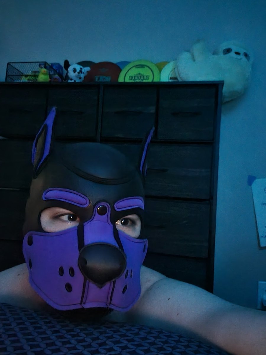 My alpha <a href="/the_pup_mocha/">Pup Mocha</a> is sleeping, and I'm waiting for him to wake up from his nap.