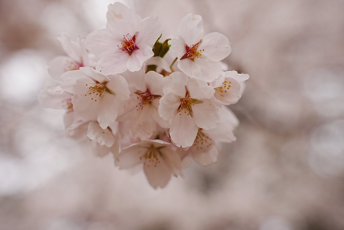 メグミ tweet media