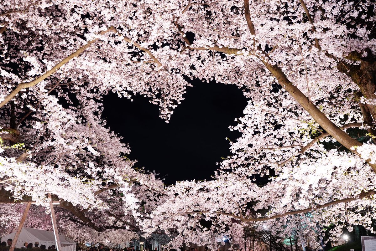 メグミ tweet media