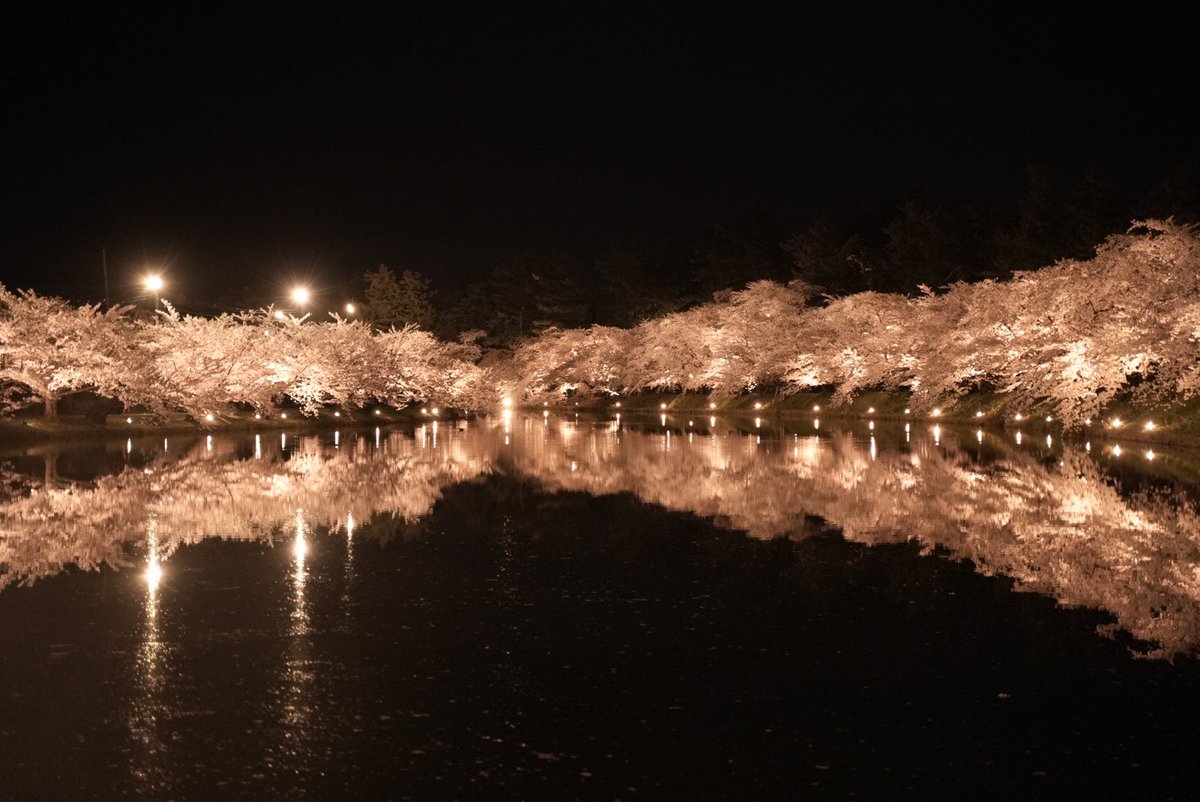 メグミ tweet media