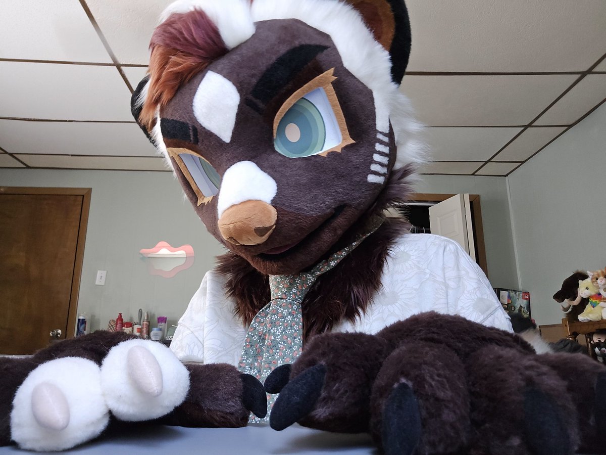 my first #FursuitFriday !! 🦨🌻